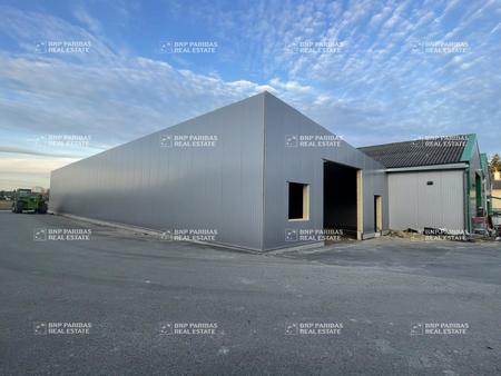location d'entrepôt de 646 m² à noyal-châtillon-sur-seiche - 35230