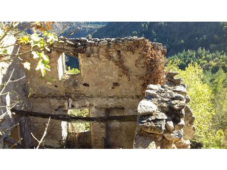 ruines en aveyron + 2 3 hectare