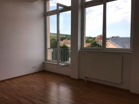 appartement f3 wissembourg centre