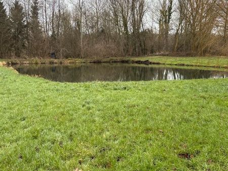 parcelle de terrain avec étang