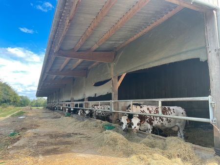 ferme laitière 118 ha dans la manche pour projet bio