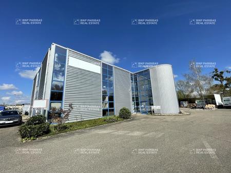 entrepôt en vente de 1 250 m² à dettwiller - 67490