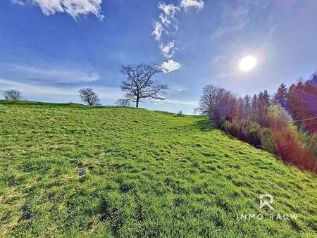 terrain à vendre à saint-vith € 74.000 (knwln) - immo-rauw | zimmo