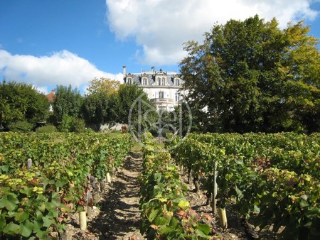 château de mercurey avec vue panoramique une des plus belles vues des vignes de mercurey d