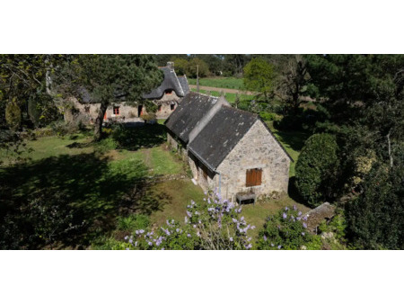 maison avec terrasse saint-philibert (56)