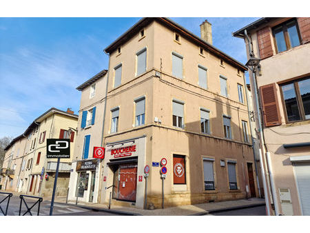 vente immeuble 240 m² couzon-au-mont-d'or (69270)