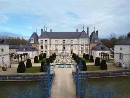 ref. 4306 : magnifique château à vendre ismh en champagnernrnce magnifique château se situ