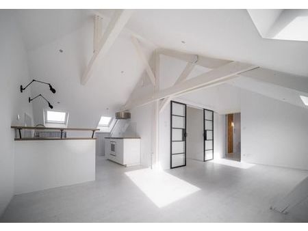 loft 2 pièces 67 m²