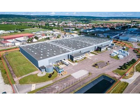 local industriel 12 548 m²