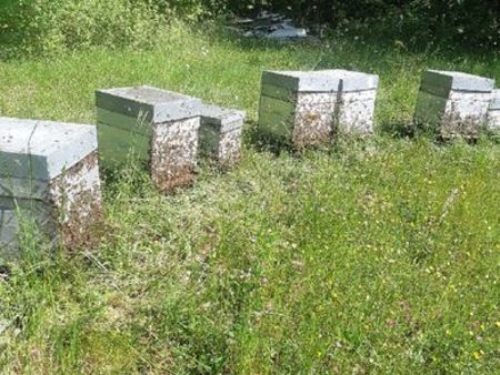 miellerie exploitation apicole