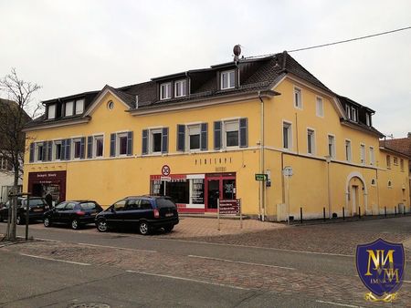 immeuble 937 m² habsheim