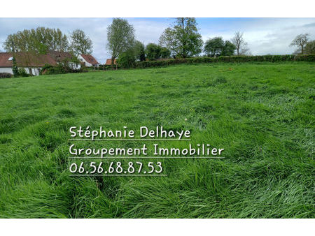 vente terrain 1040 m² nielles-lès-bléquin (62380)