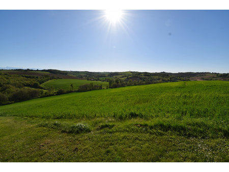 gaillac-toulza-terrain agricole 27 hectares