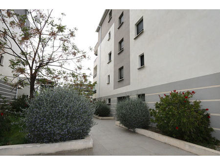 vente appartement 1 pièces 30m2 lucciana 20290 - 110000 € - surface privée