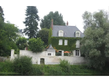 vente maison 10 pièces 320 m² noyers-sur-cher (41140)