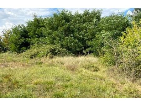 vente terrain 9366 m² briare (45250)