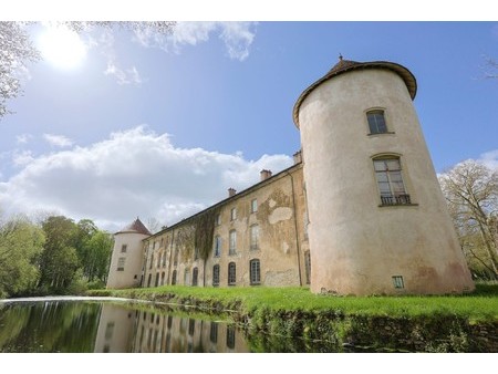 vente château 36 pièces