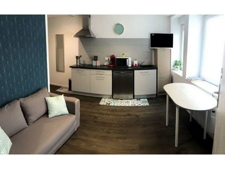 location appartement 1 pièces 21m2 rodez 12000 - 410 € - surface privée