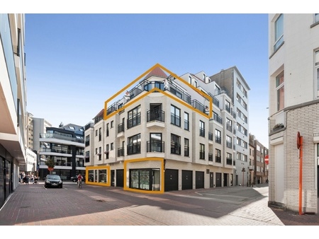 lichtrijk 3 slpk  duplex appartement met ruime terrassen!