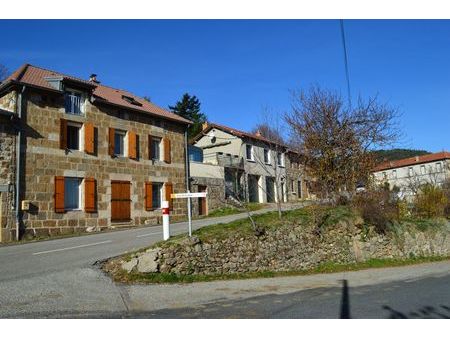 maison de village en pierre de pays et terrain