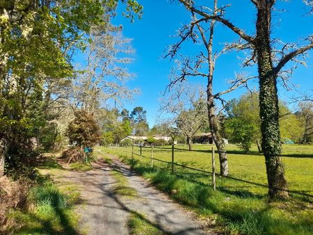 agréable propriété 2 5 ha et grande maison pierre