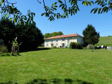 à vendre  proche de trie-sur-baïse (hautes-pyrénées): belle maison rénovée avec 4...