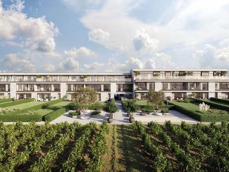 the vineyard - luxe appartementen met zicht op een groene vallei & wijngaard à nederbrakel