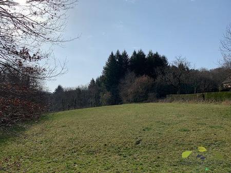 terrain - 3 961m² - affieux