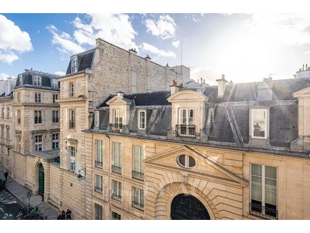 paris viie - universite/bac-terrasse dans un bel immeuble ancien de la rue de l'université
