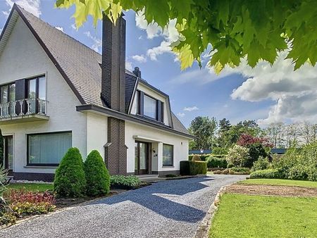 maison à vendre à kwaadmechelen € 384.900 (koo84) - immo tessenderlo | zimmo