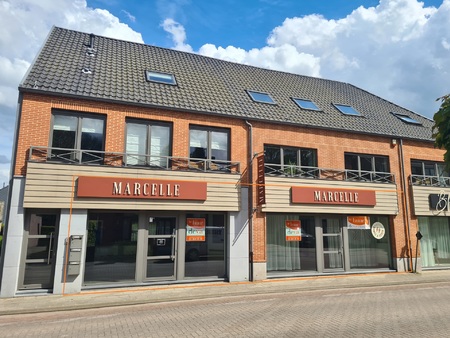 commercieel te huur in kalmthout