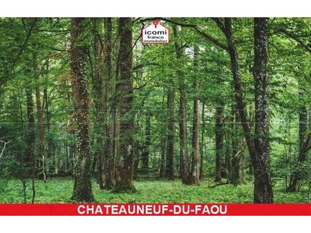 vente terrain 3000 m² châteauneuf-du-faou (29520)