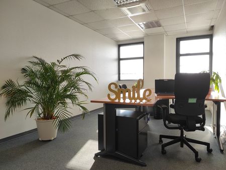 location de bureaux - salle de réunion - domiciliation d'entreprise - idéal pour professio