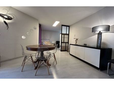 location appartement 101 m² lyon 7 (69007)