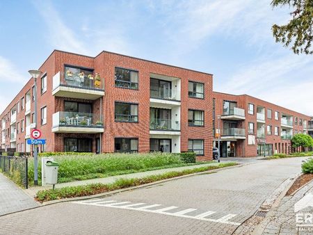 appartement à vendre à meeuwen € 160.371 (kopu2) - era impact (bree) | zimmo