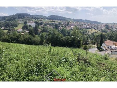 vente terrain 5600 m² amplepuis (69550)