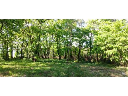 terrain - 2 975m² - villefranche de lonchat