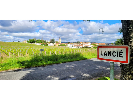 terrain - 524m² - lancie