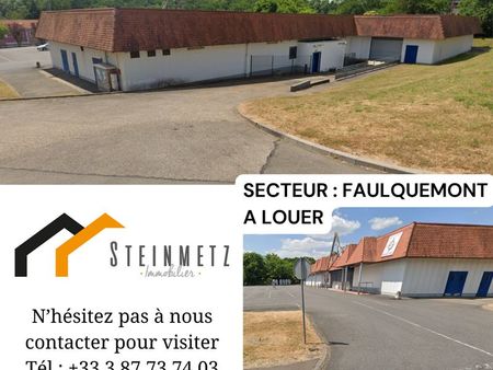 local commercial 1200 m² faulquemont