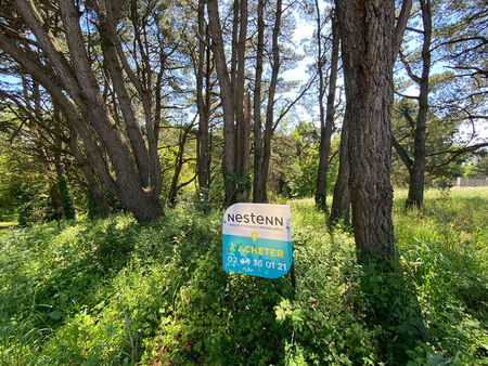 terrain à bâtir de 1121m2 environ - arboré - saint révérend - à 7minutes à pied du centre-