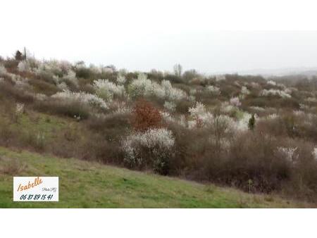 a la campagne  terrain exposé est de 12ha 23a 28ca  avec bois 1ha 38ca 11ca