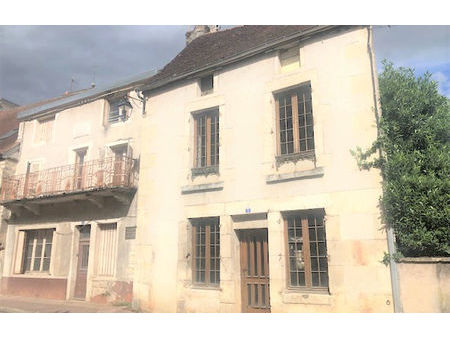 vente immeuble l'isle-sur-serein (89440)
