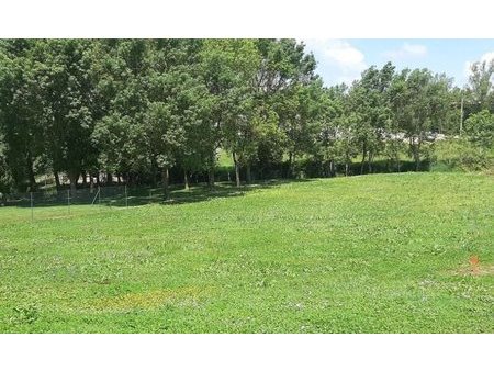 vente terrain 1000 m²