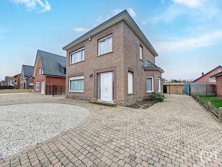 home for sale  nieuwstraat 35 begijnendijk 3130 belgium
