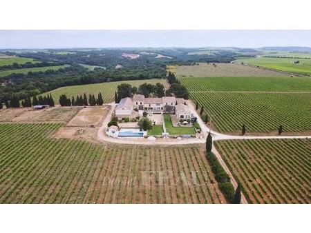 generac - domaine viticole en occitanie  entre camargue et gard provençal  au calme absolu