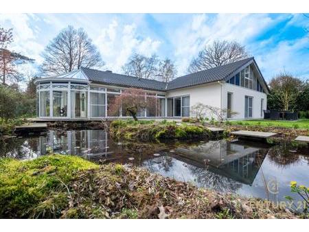 home for sale  spreeuwendreef 6 oud-turnhout 2360 belgium
