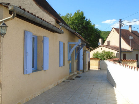 maison avec studio(ou local professionnel) à montignac-lasca