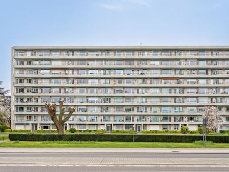 appartement à vendre à tienen € 199.000 (kp711) - b-living vastgoed & advies | zimmo