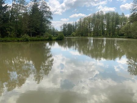 etang de pêche de 55a (5 470m2) sur 2 41ha (24 100m2) avec abri  sources et ruisseaux à ve