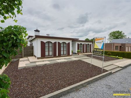 maison à vendre à leopoldsburg € 427.000 (kp7l1) - savemak vastgoed | zimmo